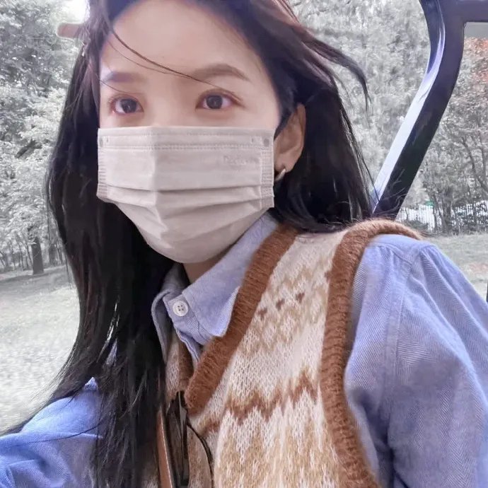 盗贼泰瑞莎